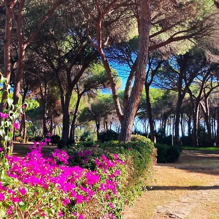 بيت للعطل Sisters' House *